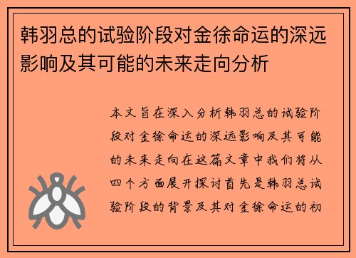 韩羽总的试验阶段对金徐命运的深远影响及其可能的未来走向分析